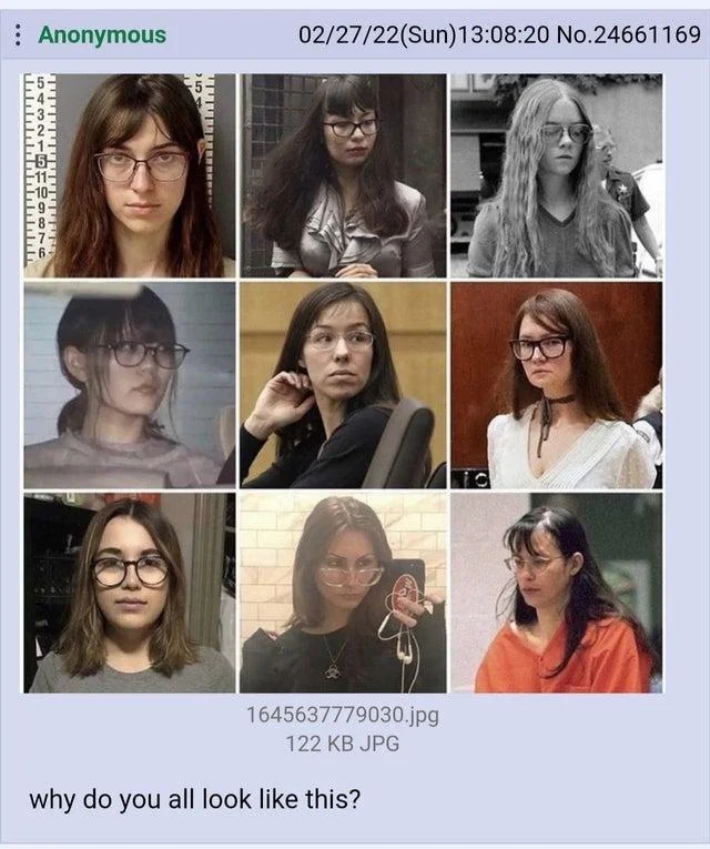 Femcel — 3x3 grid of nine women in mugshots and police photos from 4chan post.