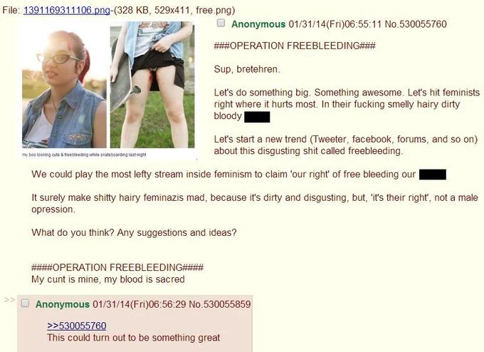 Feminism — 4chan screenshot describing Operation Freebleeding trolling campaign