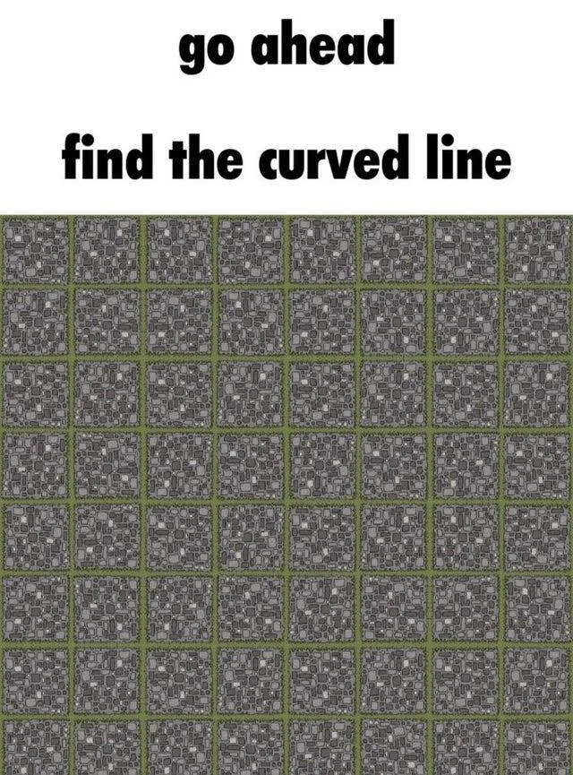 Find The Curved Line — 7x7 checkerboard grid with green lines on gray background and challenge text.