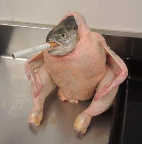 Fish Chicken Smoking A Cigarette — Cropped photo of a raw chicken with a fish head smoking a cigarette.