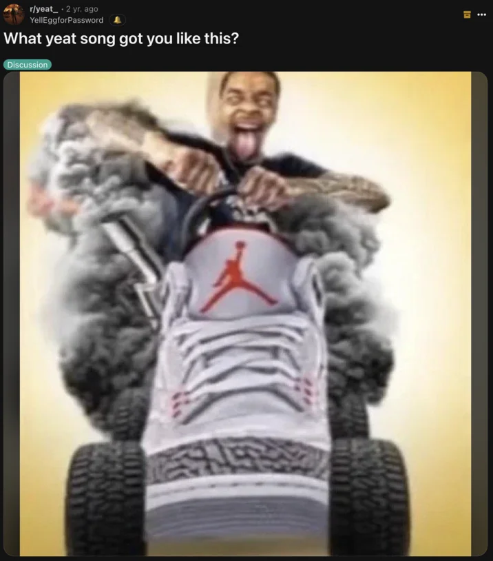 Flight Driving a Shoe — Reddit r/yeat post asking What yeat song got you like this with the shoe meme
