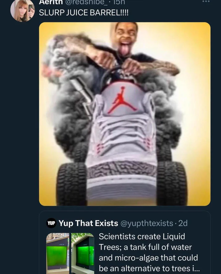 Flight Driving a Shoe — Twitter post captioned SLURP JUICE BARREL with the shoe-driving meme attached