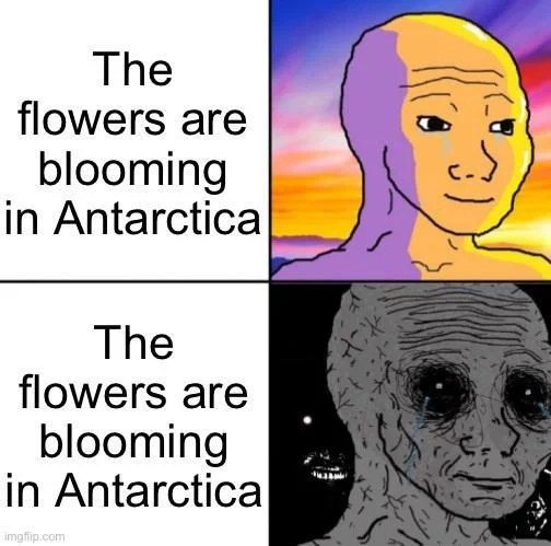 Flowers Are Blooming In Antarctica — Tweet screenshot with photo of girl in charcoal face mask holding fan, quoting 'Antarctica is growing flowers'