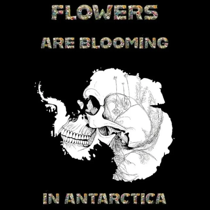 Flowers Are Blooming In Antarctica — They don't know wojak meme with caption about flowers blooming in Antarctica