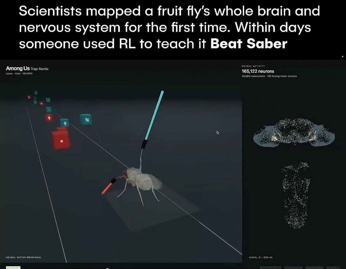 Fly Brain Simulations — Meme of a simulated fruit fly brain playing Beat Saber using reinforcement learning