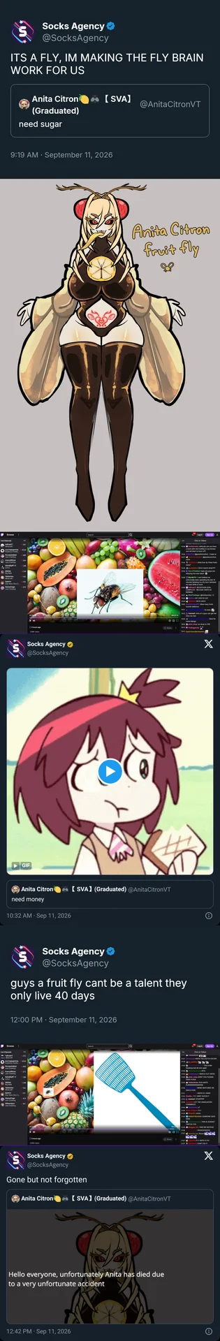 Fly Brain Simulations — Socks Agency tweet collage introducing and killing off the fruit fly VTuber Anita Citron