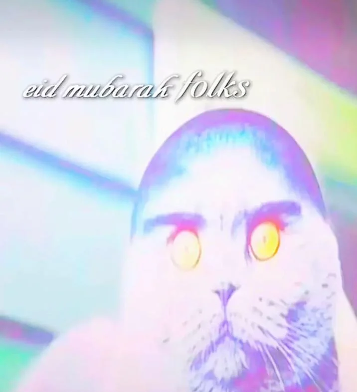 Folk Valley cat with rainbow filter and Eid Mubarak Folks caption