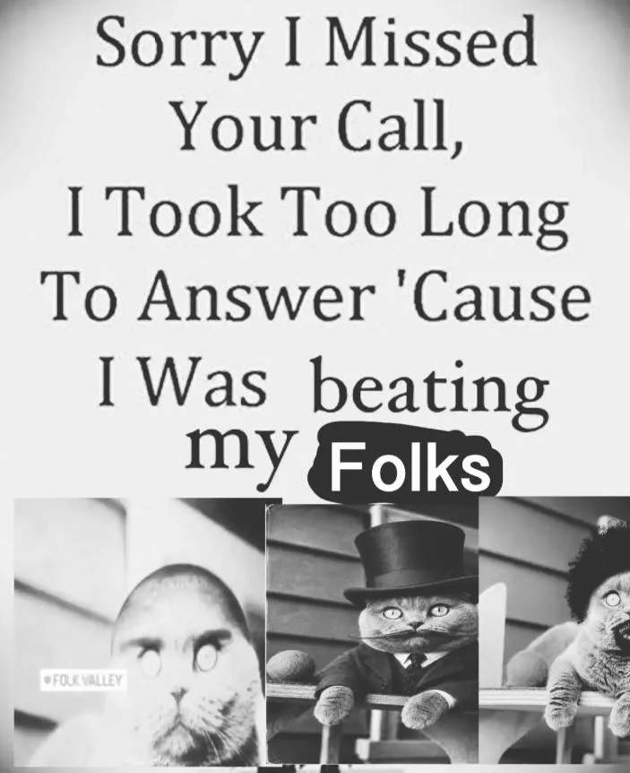 Sorry I missed your call meme with three cat photos including the Folk Valley cat
