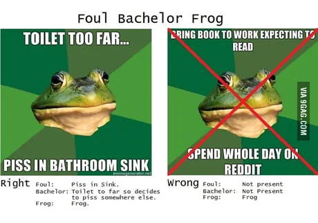 Foul Bachelor Frog — Comparative layout showing right and wrong bathroom and workplace scenarios.