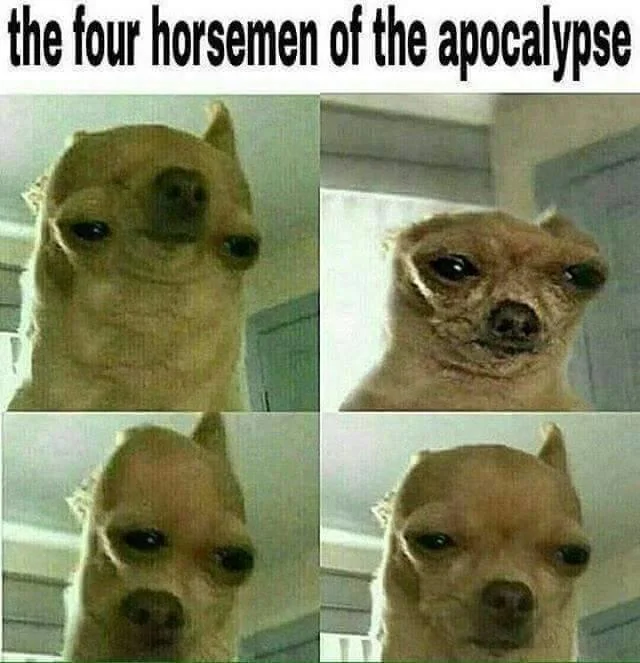 Four-panel meme of a squinting chihuahua labeled the four horsemen of the apocalypse.