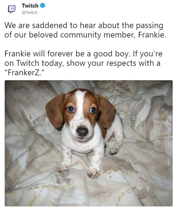Official Twitch tweet paying tribute to Frankie the dog with the original FrankerZ puppy photo