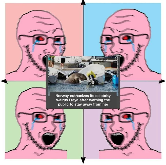 Wojak political compass meme reacting to news of Freya the walrus being euthanized in Norway