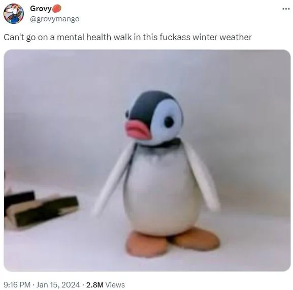 Tweet about 'fuckass winter weather' with image of Pingu penguin