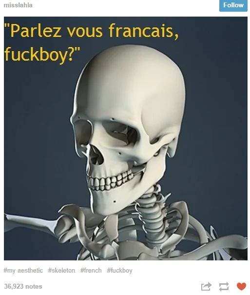 3D skeleton with caption 'Parlez vous francais, fuckboy?' from Tumblr