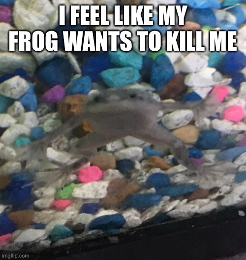 Fwog meme