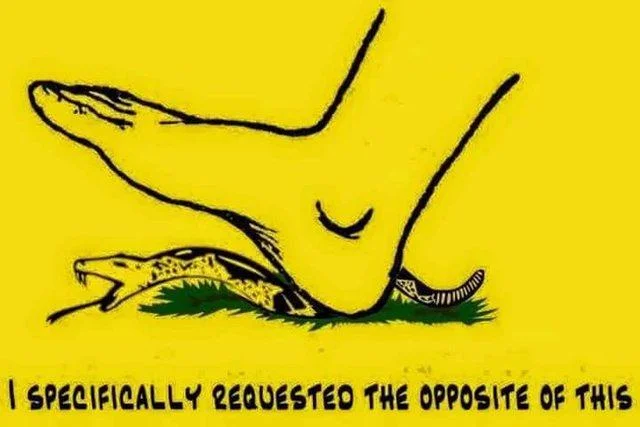 Gadsden Flag Don T Tread On Me — Gadsden flag parody with a foot on the snake and text 'I specifically requested the opposite of this'.