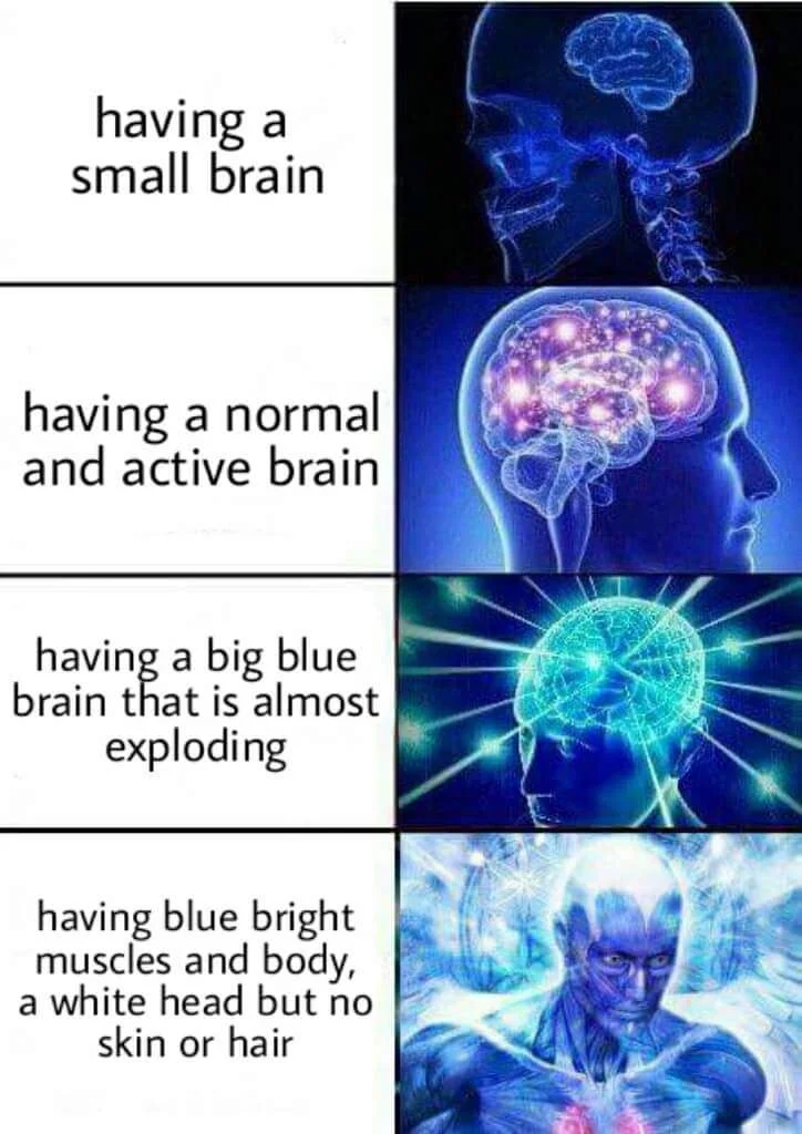Galaxy Brain — A four-panel meme showing progressively larger brain visualizations from simple to elaborate cosmic galaxy-sized brain with absurd descriptors.