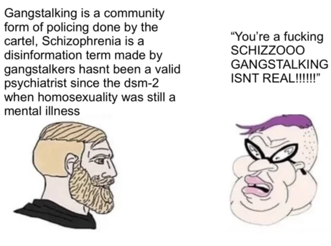 Chad vs. soyjak meme debating gangstalking versus schizophrenia