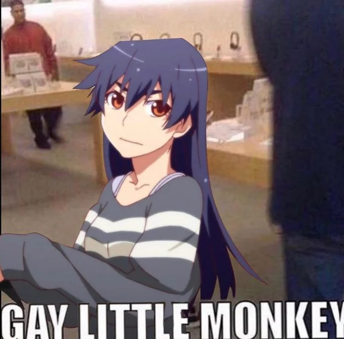 Gay Little Monkey Boy At Apple Store — Anime character in the Apple Store meme format with 'GAY LITTLE MONKEY' bottom caption.