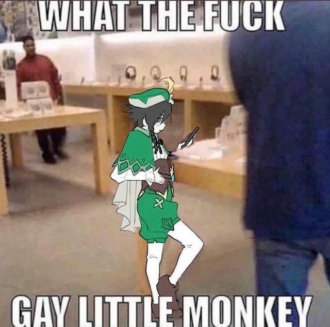 Gay Little Monkey Boy At Apple Store — Green-clothed character in Apple Store with classic meme text 'WHAT THE FUCK' and 'GAY LITTLE MONKEY.'