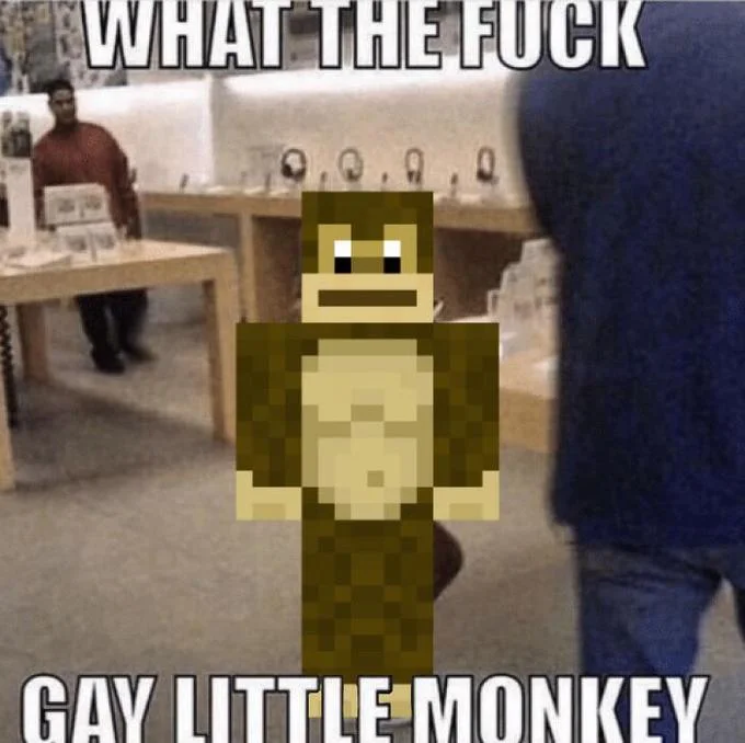 Gay Little Monkey Boy At Apple Store — Pixelated brown character standing in Apple Store with 'WHAT THE FUCK' top text and 'GAY LITTLE MONKEY' bottom caption.
