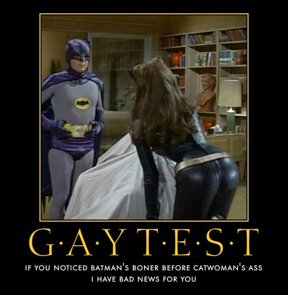 Gay Test Batman and Catwoman demotivational poster