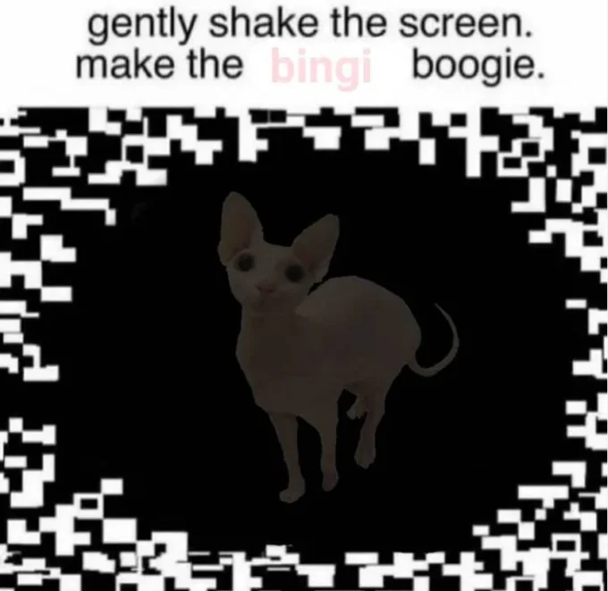 Gently Shake The Screen, Make The Possum Boogie — Hairless Sphynx cat inside pixelated optical illusion border with caption 'make the bingi boogie.'