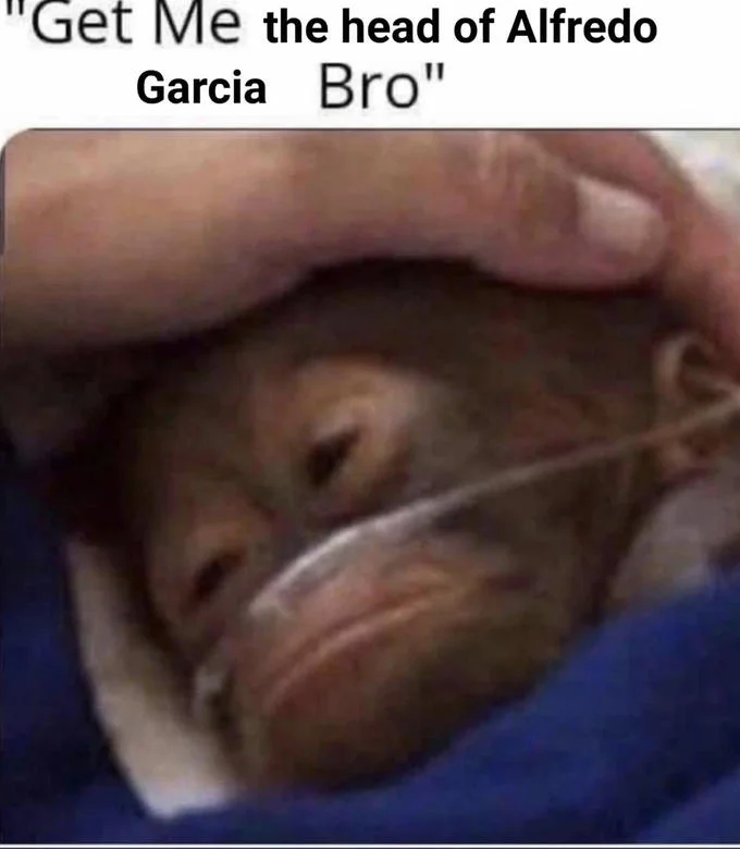 Get Me A Blue Powerade Bro — Meme variation reading 'Get Me the head of Alfredo Garcia Bro' with baby orangutan