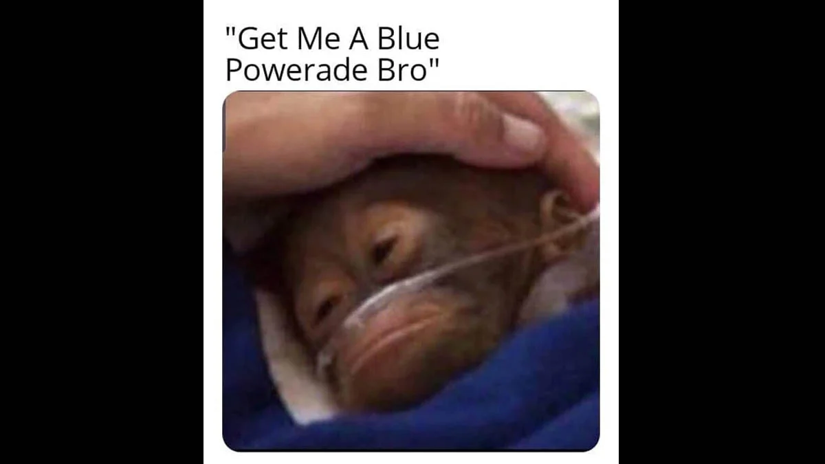 Baby orangutan with oxygen tube under a hand with caption 'Get Me A Blue Powerade Bro'