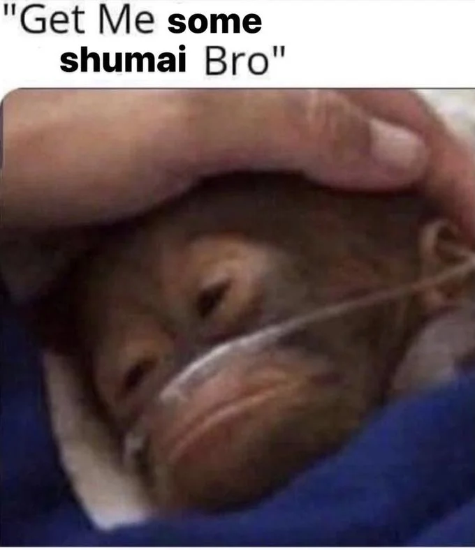 Get Me A Blue Powerade Bro — Meme variation reading 'Get Me some shumai Bro' with baby orangutan