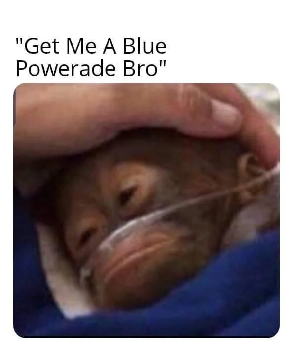 Vertical format meme of baby orangutan captioned 'Get Me A Blue Powerade Bro'