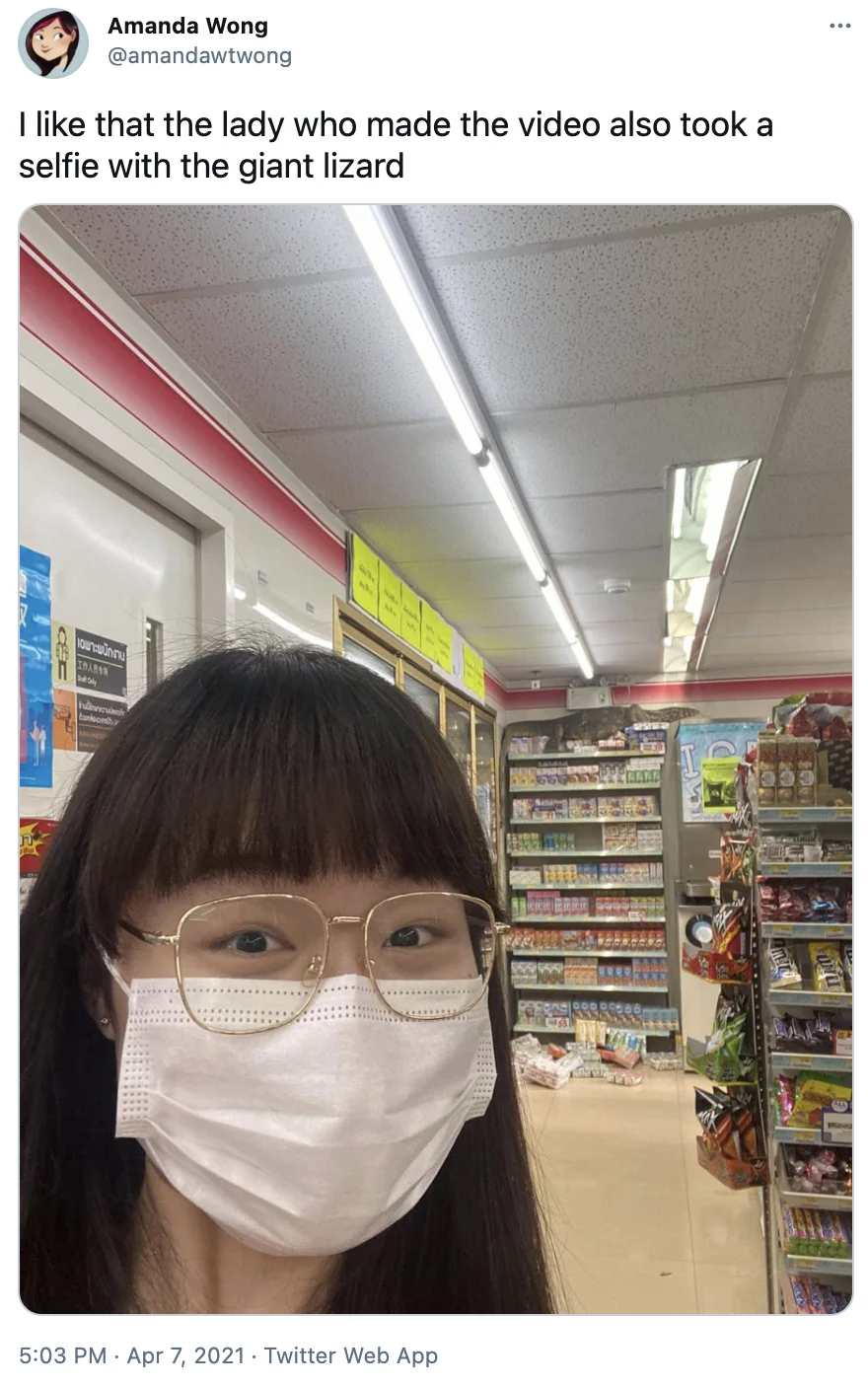 Giant Lizard Climbing Supermarket Shelves — Twitter post by Amanda Wong showing selfie of masked woman in 7-Eleven with giant lizard on shelves behind her.