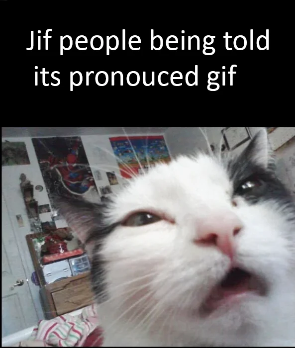 Gif Vs Jif Pronunciation Debate — Suspicious cat close-up captioned about jif people being corrected