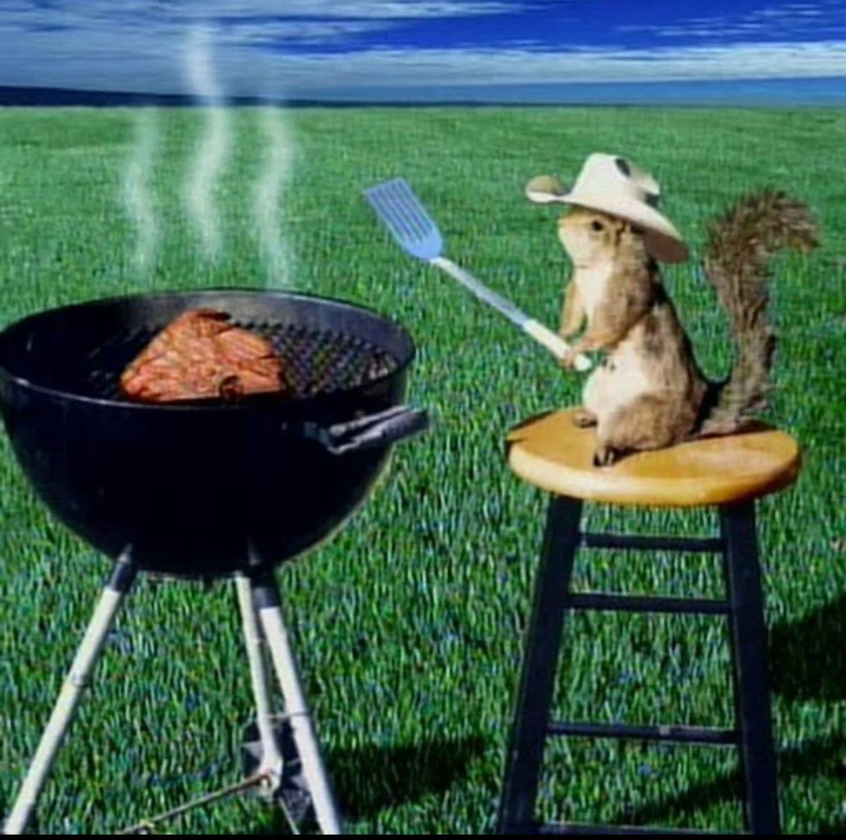 Girl Dinner — RT @kkennap: this still from spongebob always spoke to me. it’s just beautiful https://t.co/dDygNHFY0o