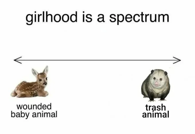 Girlhood is a spectrum meme with cartoon dog and cartoon cat emoji