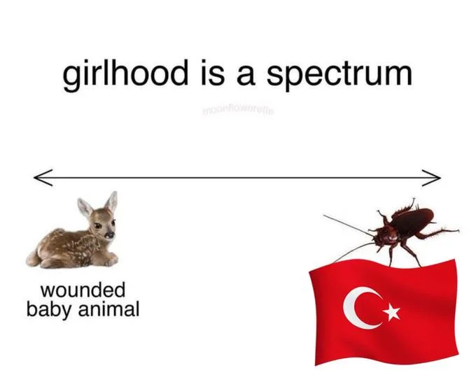 Girlhood is a spectrum meme with a Gundam robot and a big lizard dragon