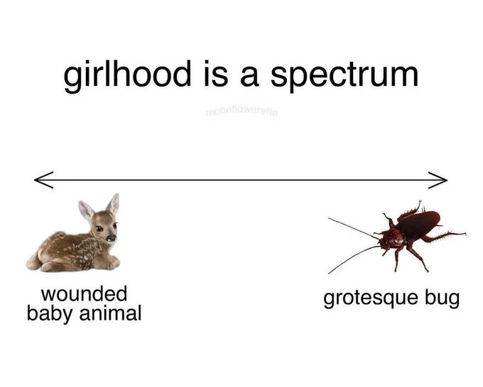 Girlhood is a spectrum meme with wounded baby deer and trash opossum