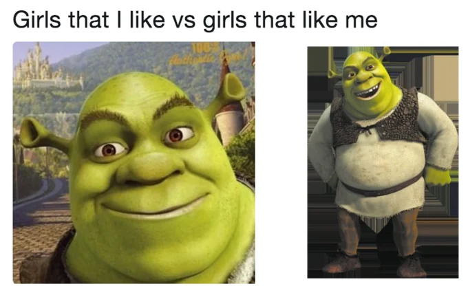 Girls That I Like Vs Girls That Like Me — Shrek character adaptation with attractive close-up on left and full-body unattractive version on right.