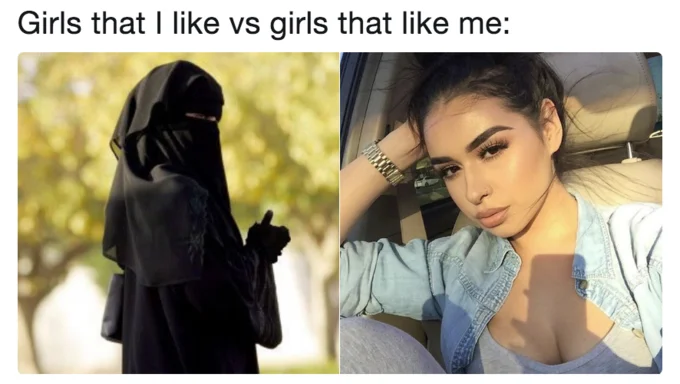 Girls That I Like Vs Girls That Like Me — Two-panel comparison with veiled figure on left representing idealized partner and selfie on right representing who