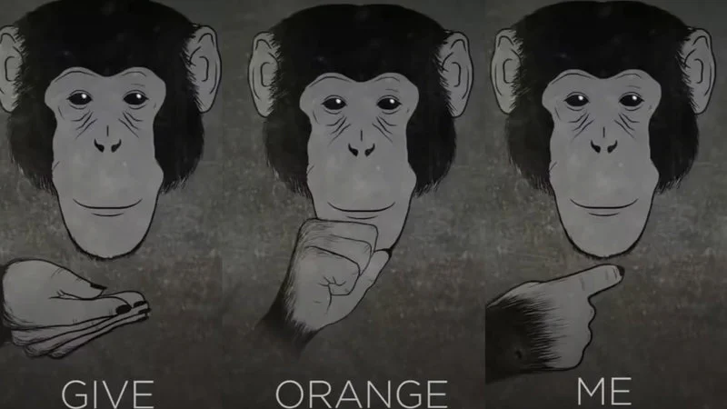 Give Orange Me Give Orange Me Give Eat Orange Me Eat Orange Give Me Eat Orange Give Me You