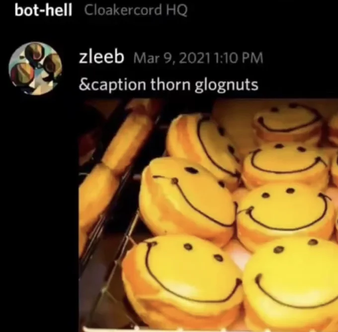 Glaggleland — Discord message reading '&caption thorn glognuts' with photo of smiley face donuts