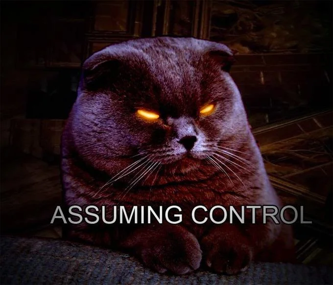 Glowing Eyes — Gray cat with glowing orange eyes and the caption 'ASSUMING CONTROL'