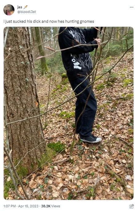 Tweet by @bloodl3st joking about a partner going gnome hunting, with a photo of a person in a forest.