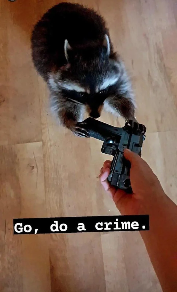 Go Do A Crime — Go, do a crime.