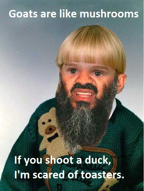 Image macro with child photo wearing edited beard, white text reading 'Goats are like mushrooms' and 'If you shoot a duck, I'm scared of toasters.'