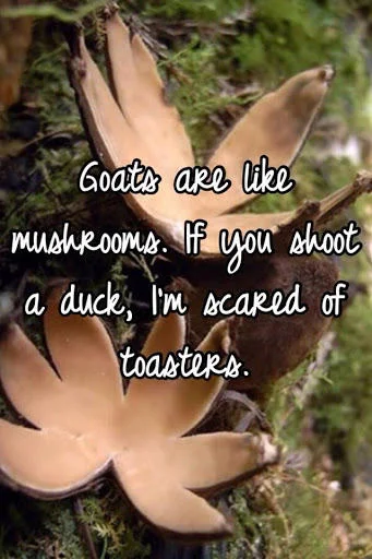 Goats Are Like Mushrooms — Photo of brown mushrooms on green moss with handwriting-style text of full copypasta overlaid.
