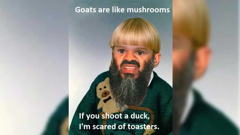 Canonical meme macro with child photo edited with beard and white text 'Goats are like mushrooms' and 'If you shoot a duck.'
