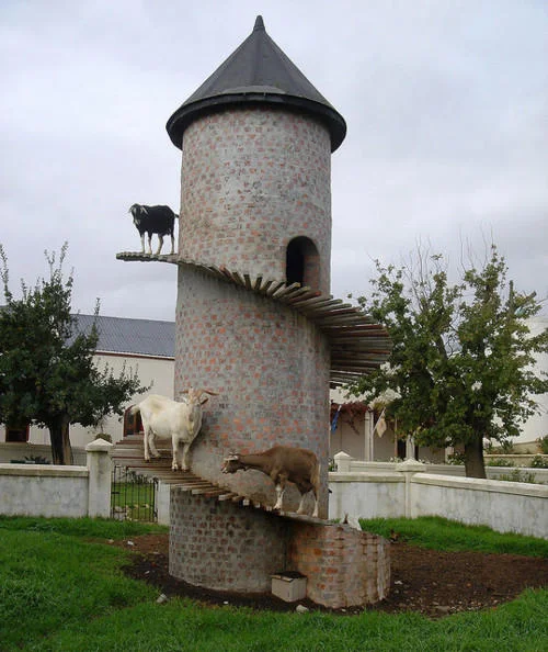 Goats climbing a tall brick tower with spiral ramps