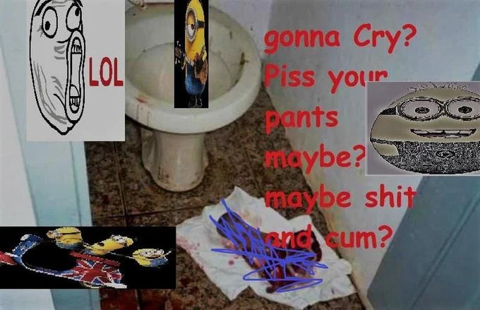 Gonna Cry Gonna Piss Your Pants Maybe — Ironic shitpost collage of minions, rage faces, and toilet imagery with the meme text in red