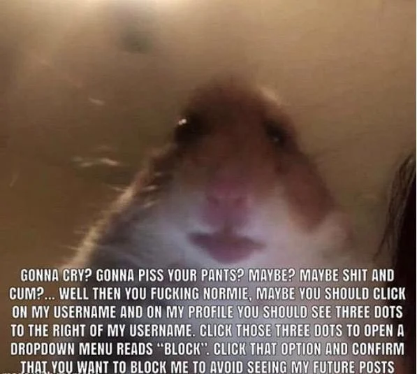 Gonna Cry Gonna Piss Your Pants Maybe — Close-up hamster selfie meme captioned with the extended 'gonna cry gonna piss your pants' block-me copypasta